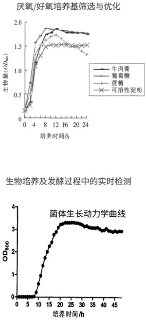 過(guò)程安全，結(jié)果精準(zhǔn)